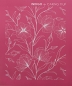 Preview: Mesh Stencil - Indigo